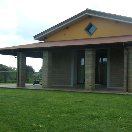 Agriturismo L.B.Stud Bracciano  Luaran gambar