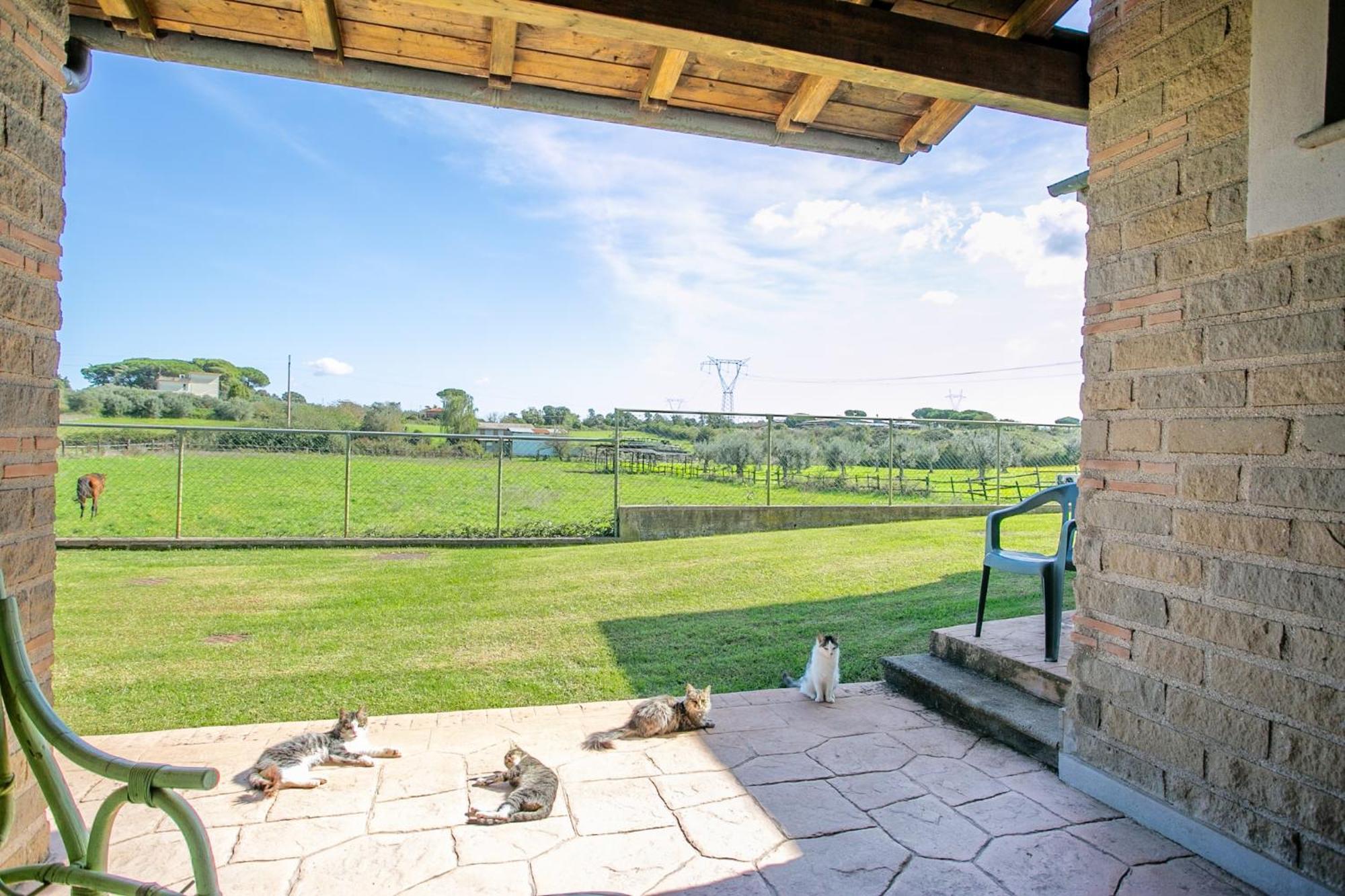 Agriturismo L.B.Stud Bracciano  Luaran gambar