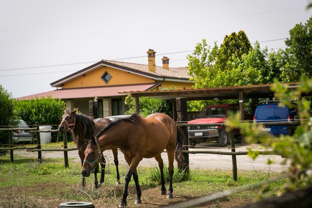 Agriturismo L.B.Stud Bracciano  Luaran gambar