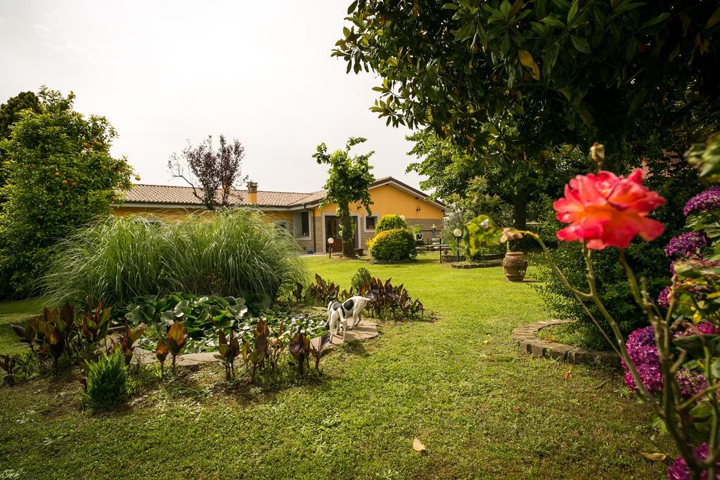 Agriturismo L.B.Stud Bracciano  Luaran gambar
